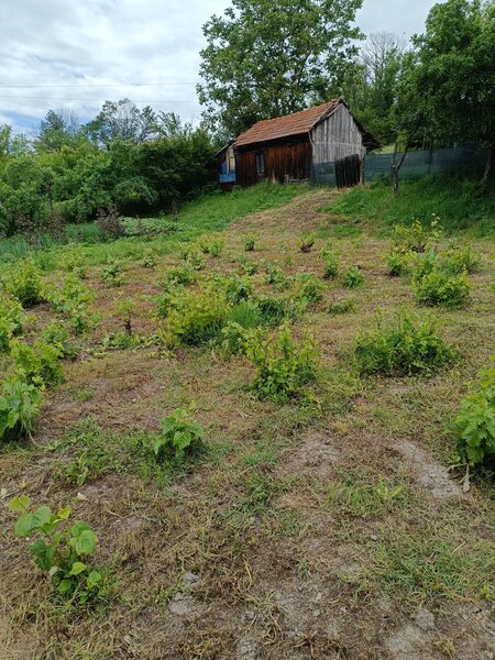 Casa cu teren generos sat Ungureni, jud. Dolj.